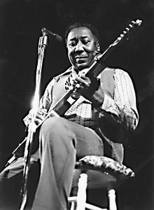 Muddy Waters